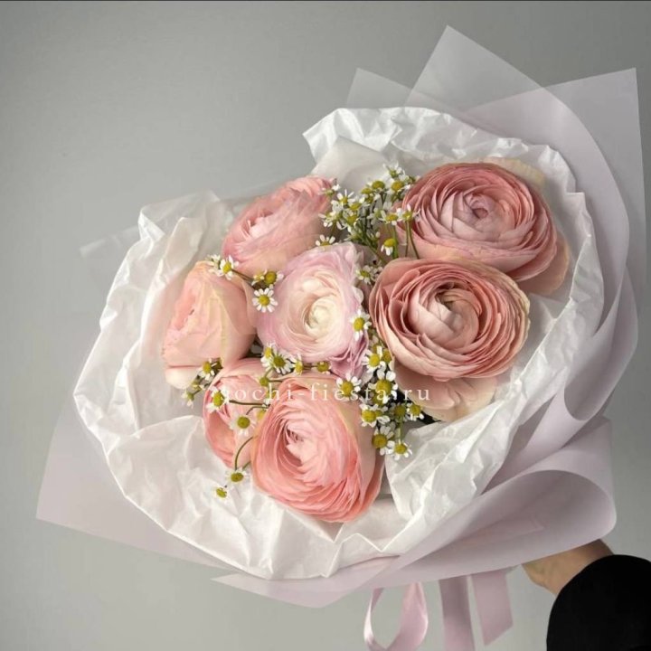 Ранункулюсы с ромашками в Ростове-на-Дону