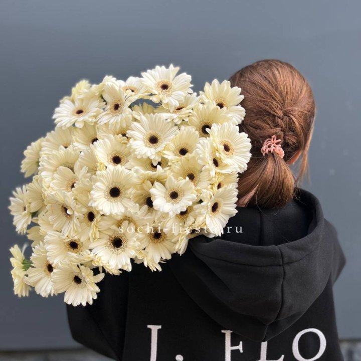 51 гербера в Ростове-на-Дону