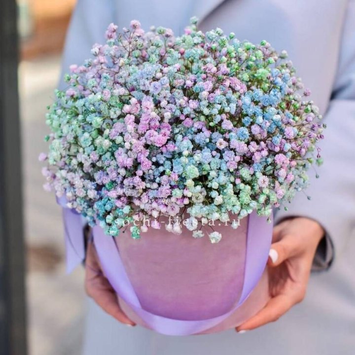 Гипсофилы в шляпной коробке "Кандилайт" в Ростове-на-Дону