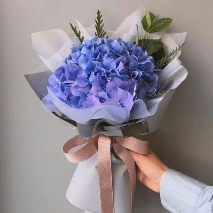 Гортензия голубая в Ростове-на-Дону