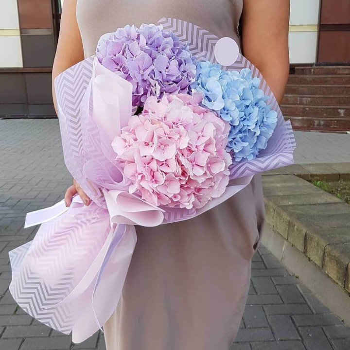 Букет гортензий "Пуф" в Ростове-на-Дону