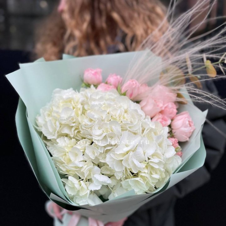 Гортензия "Жасмин" в Ростове-на-Дону