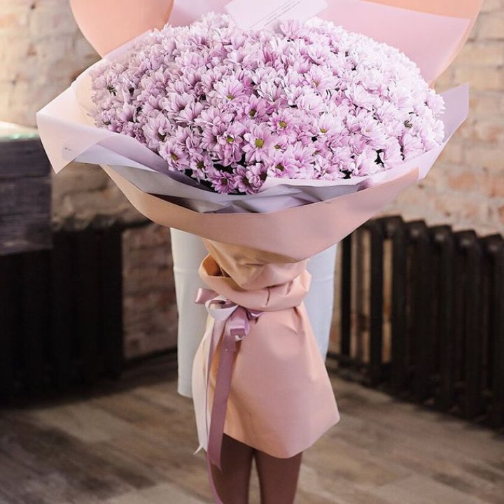 Облако хризантем №1 в Ростове-на-Дону