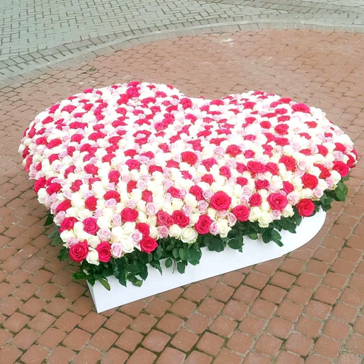 555 роза  в Ростове-на-Дону