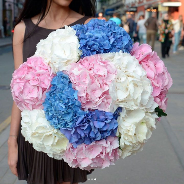 Букет гортензий "Инь-Янь" в Ростове-на-Дону