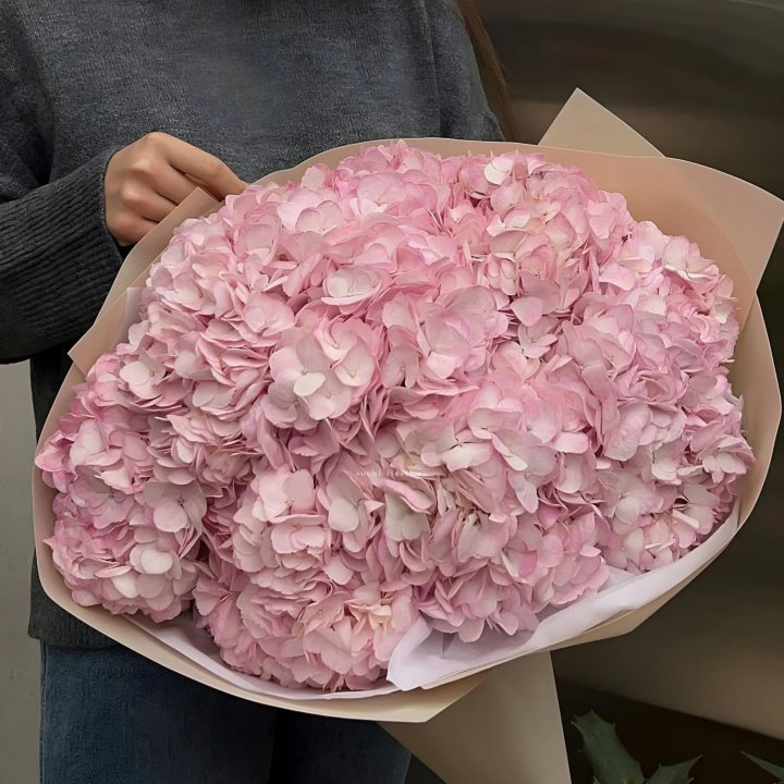 Гортензия  "РОЗЕ" в Ростове-на-Дону