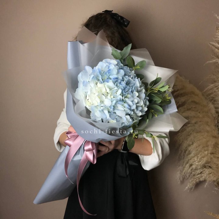 Гортензия Уно в Ростове-на-Дону