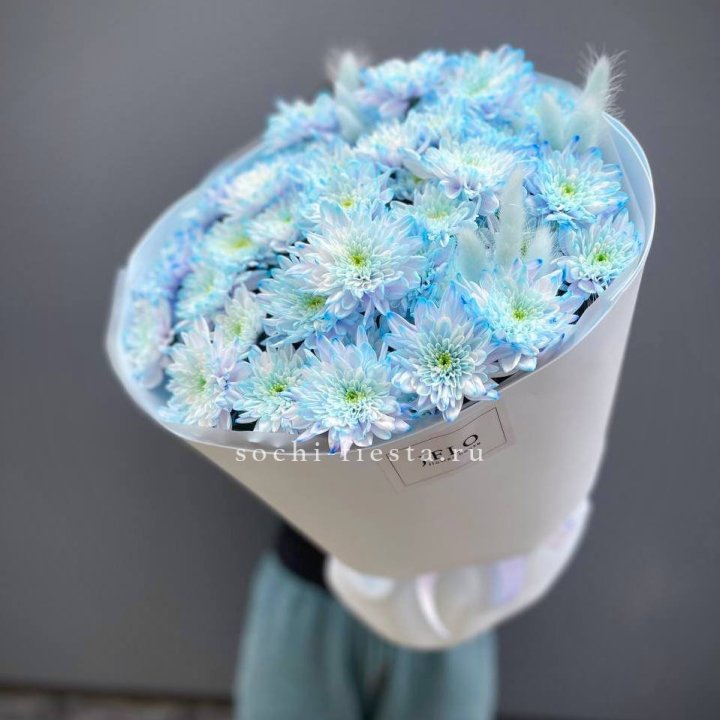  Букет нежно-голубых хризантем  в Ростове-на-Дону