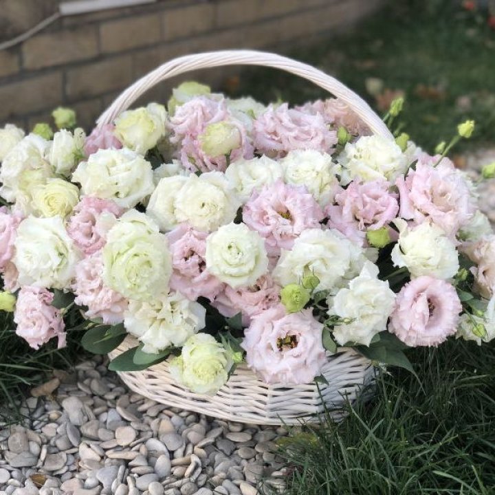 Корзина с эустомой в Ростове-на-Дону