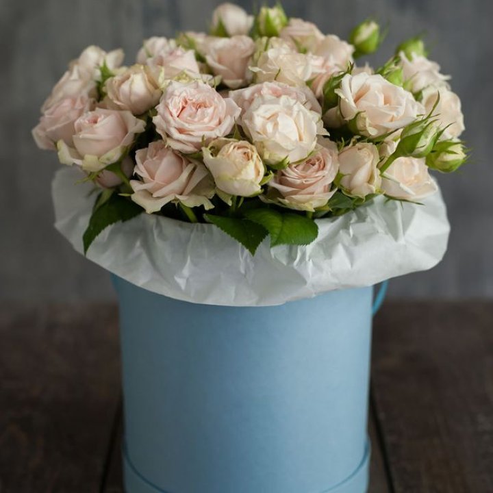 Бокс с бомбастиком в Ростове-на-Дону