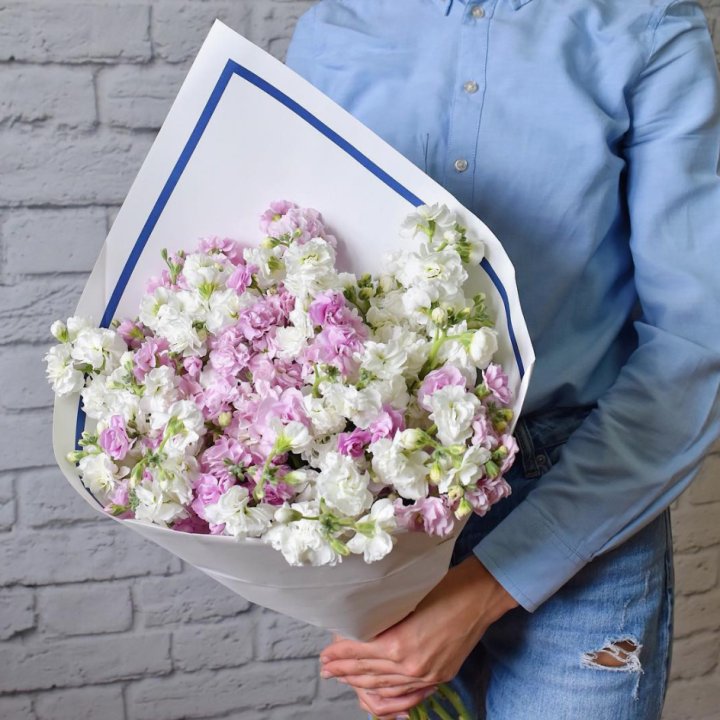 Маттиола в Ростове-на-Дону