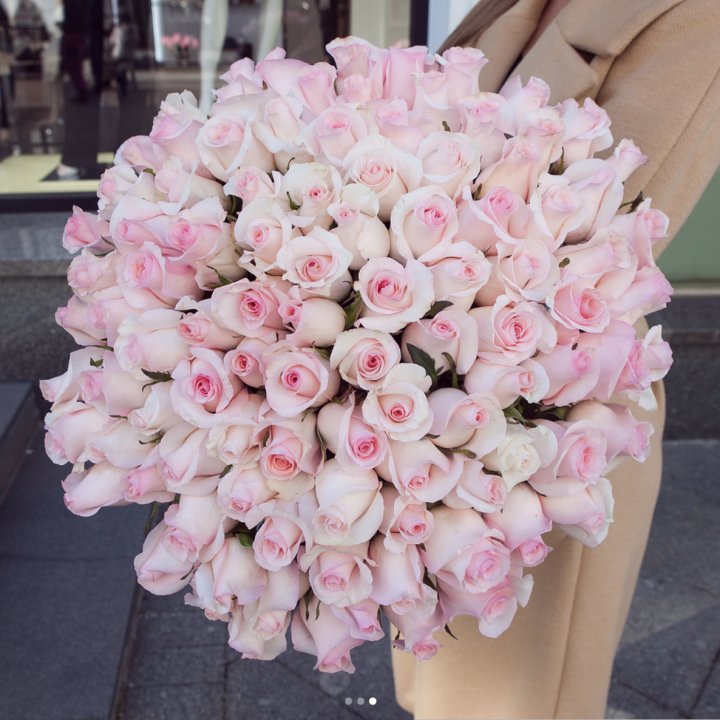 Розы "Пинк бум" в Ростове-на-Дону