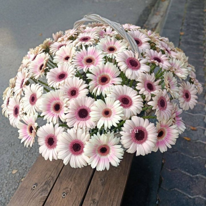 Корзина с герберами  в Ростове-на-Дону