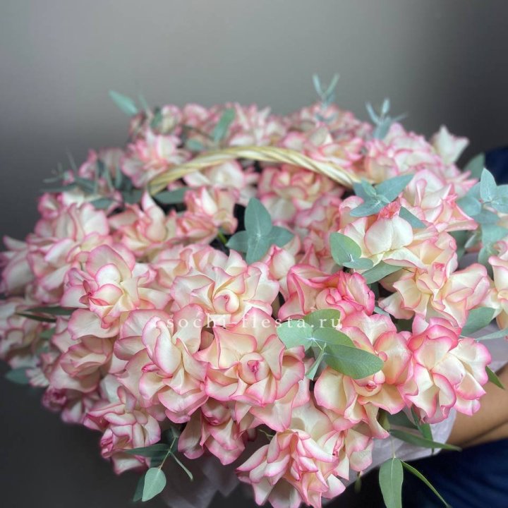 51 джумилия  в корзине   в Ростове-на-Дону