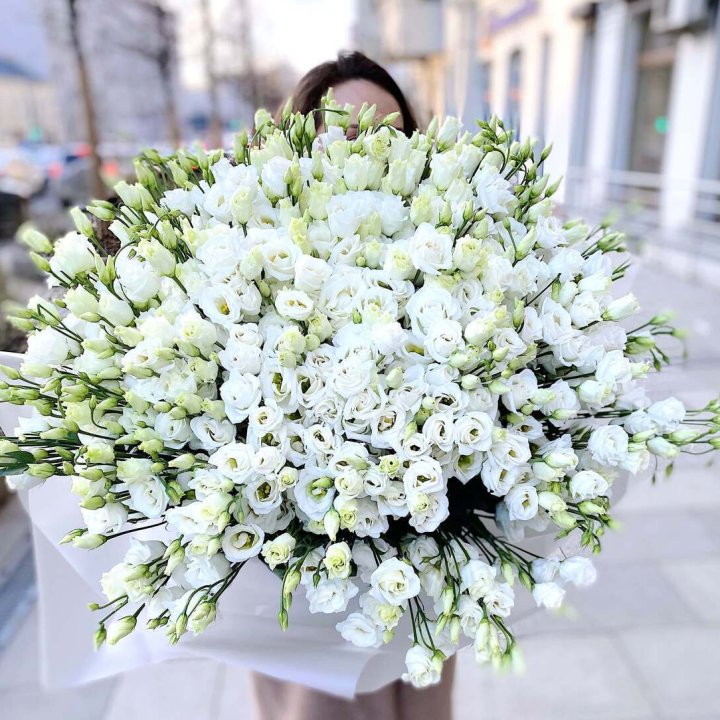 101 белая эустома в Ростове-на-Дону