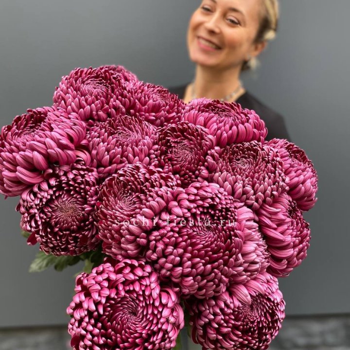 Охапка хризантем Бигуди в Ростове-на-Дону