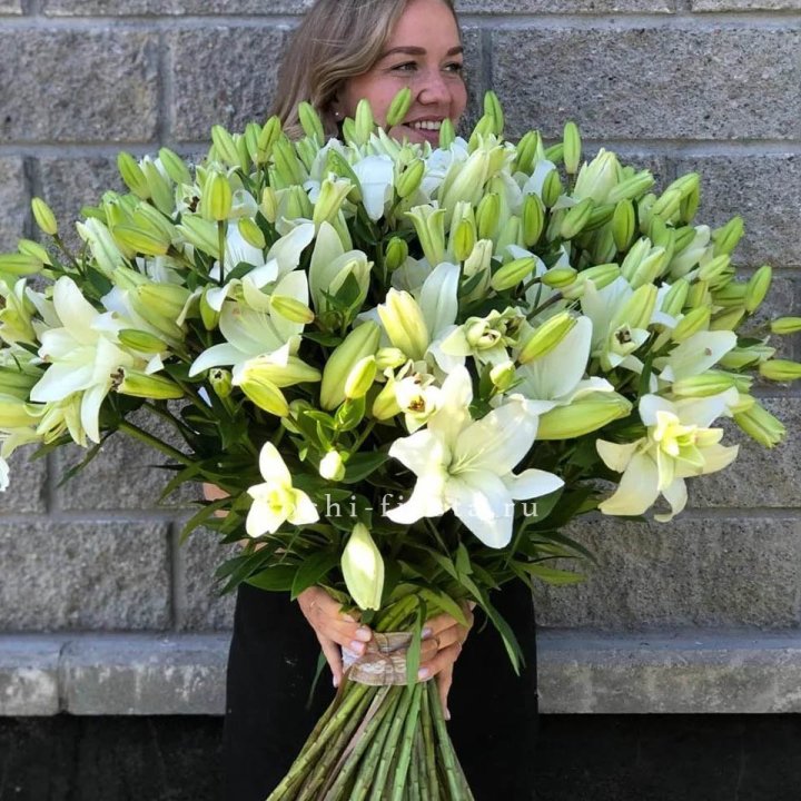 51 лилия в Ростове-на-Дону