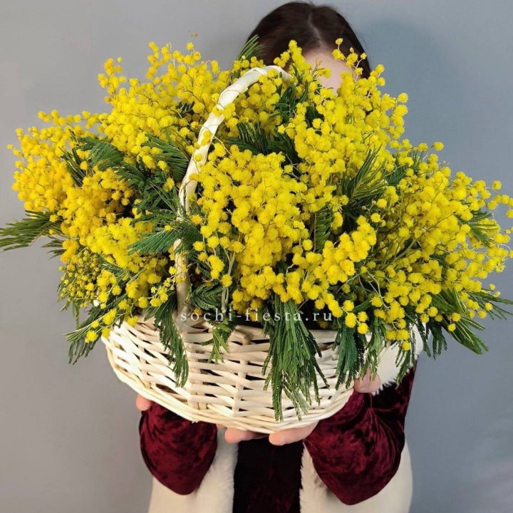Корзина ароматной мимозы в Ростове-на-Дону