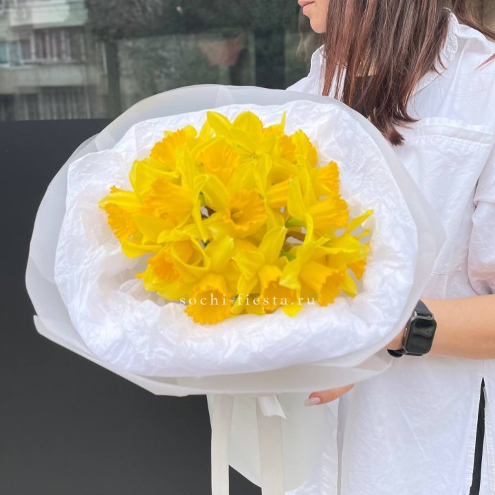Нарциссы 25 шт в Ростове-на-Дону