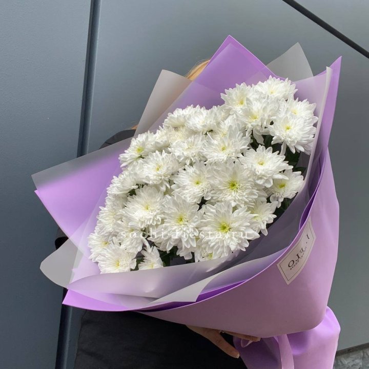  7 хризантем  в Ростове-на-Дону