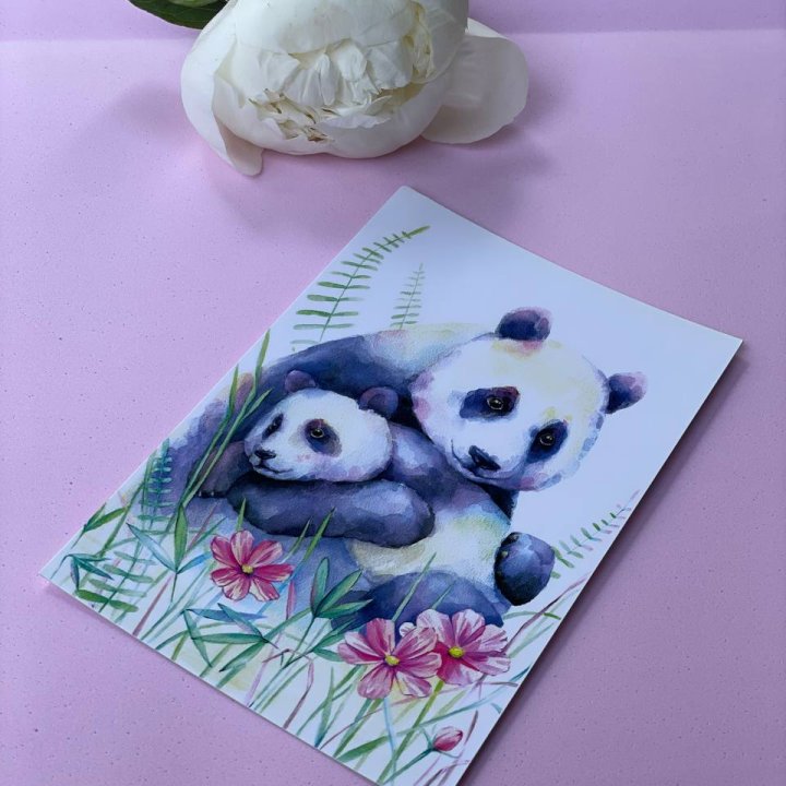 Открытка к букету "Объятие Панды" в Ростове-на-Дону