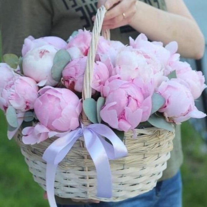 15 пионов в корзине в Ростове-на-Дону