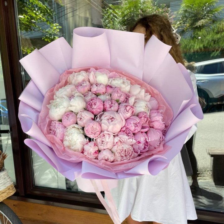 51 розовый пион в Ростове-на-Дону