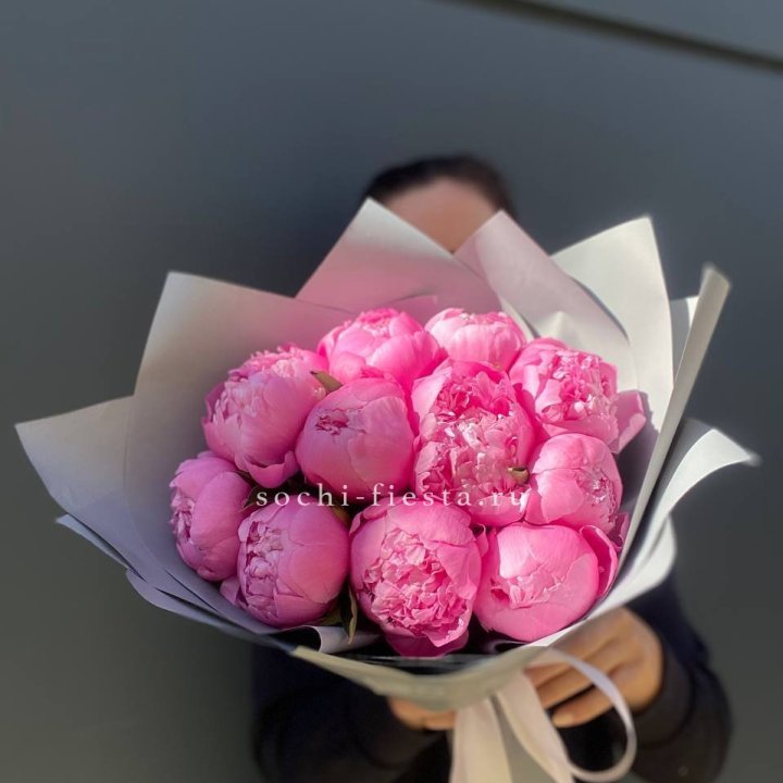 Пионы Алекс флеминг в Ростове-на-Дону