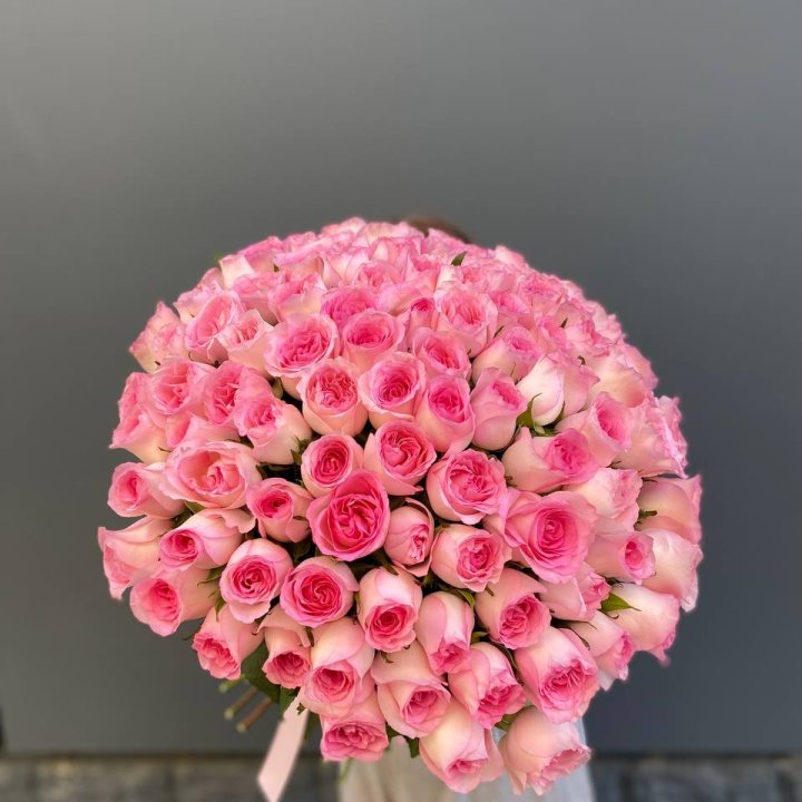 101 розовая роза в Ростове-на-Дону