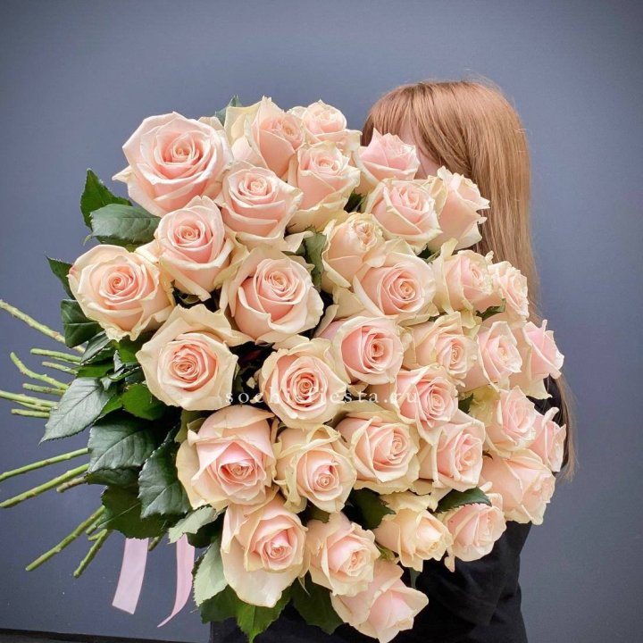 35 кремовых высоких роз в Ростове-на-Дону