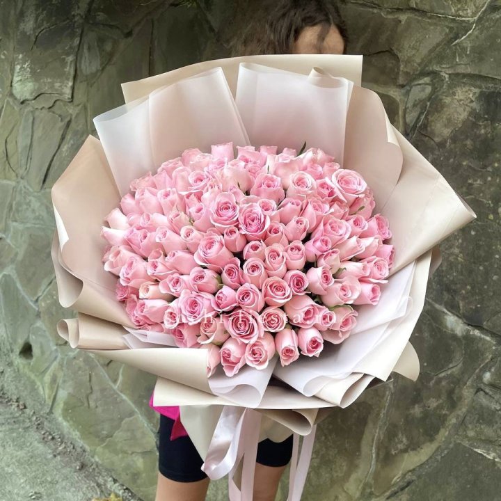 101 нежно-розовая роза Каролина  в Ростове-на-Дону