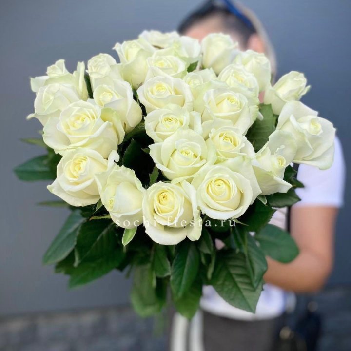 Голландские розы белые 25 в Ростове-на-Дону