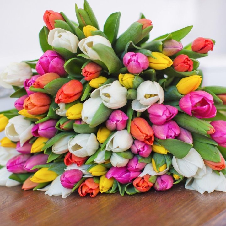 79 тюльпанов "Рандом" в Ростове-на-Дону