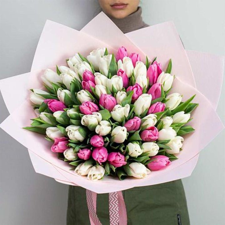 61 бело-розовый тюльпан в Ростове-на-Дону