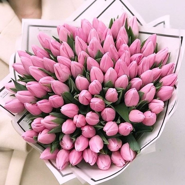 101 розовый тюльпан в белом в Ростове-на-Дону