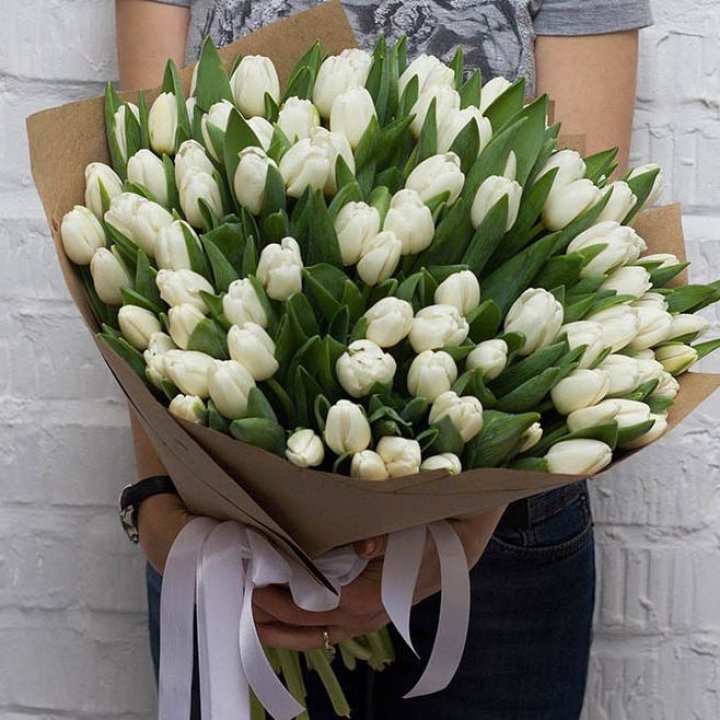 101 тюльпан сноу в Ростове-на-Дону