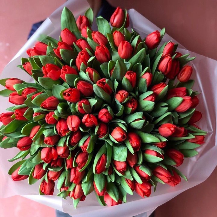 101 красный тюльпан в Ростове-на-Дону